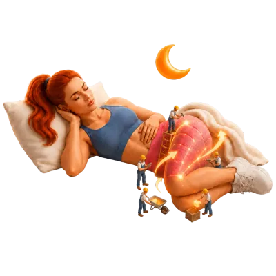 Recuperação para permitir o crescimento muscular